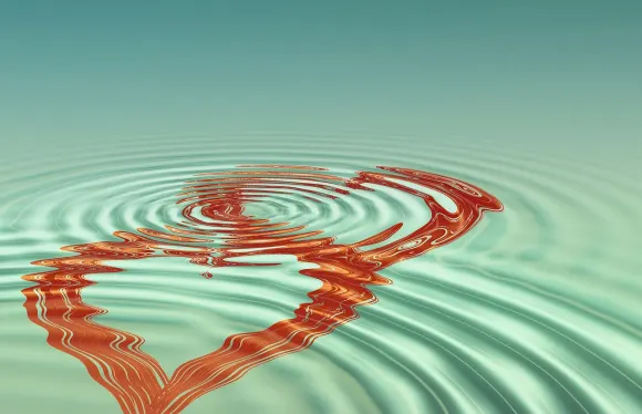 카시고 카지노 지원